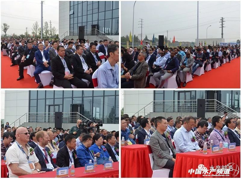 ���Ǿޟo�ԣ���ȫ�����a(ch��n)�˳�2�|����ϣ����Ї�30���꣬������������һ������