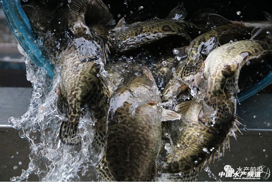 �V�|�Z�~�ϝq0.5Ԫ/������ȥ��ͬ�ڸ�7Ԫ/�������ϡ����ո��q1Ԫ/����