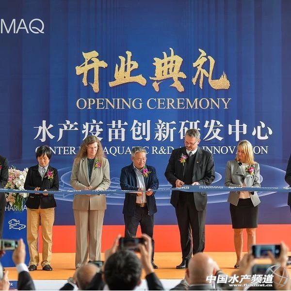 ȫ���׼���I�I�~�^50�|��Ԫ�Ąӱ���I�M܊�Ї�ˮ�a����