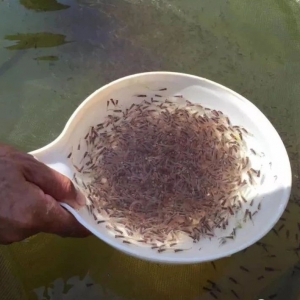 �����r�_30Ԫ/�Խ��Խ���Bֳ���D�B�@�l��ˮ�~����2018��4��26��ʯ���~�r������