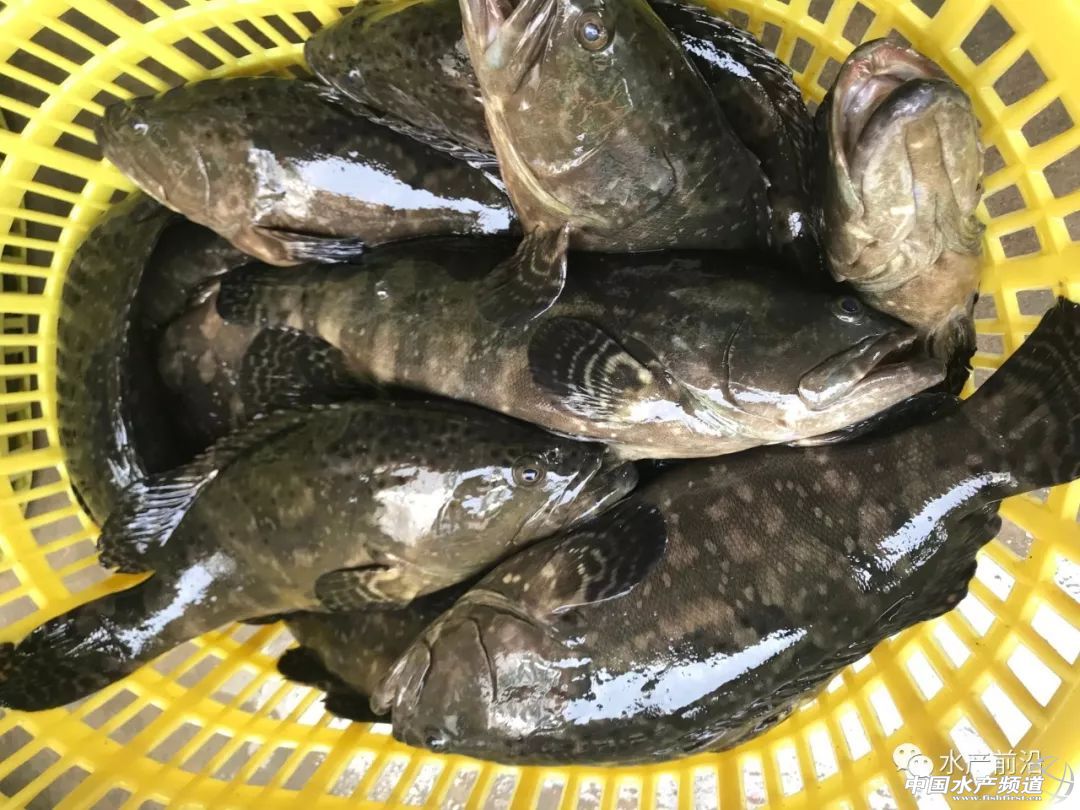 �����ã������r�_30Ԫ/�Խ��Խ���Bֳ���D�B�@�l��ˮ�~