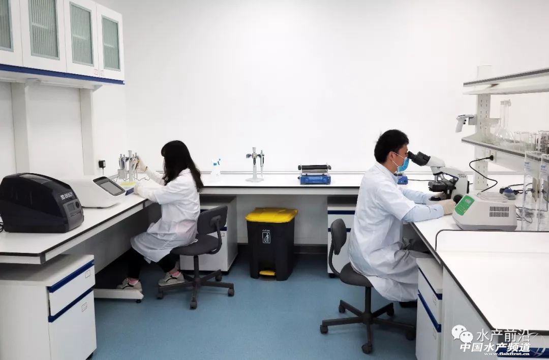 2017���u��53�|��Ԫ��ȫ���I�Ȅӱ���I�M܊�Ї�ˮ�a��ͻ���c���@��