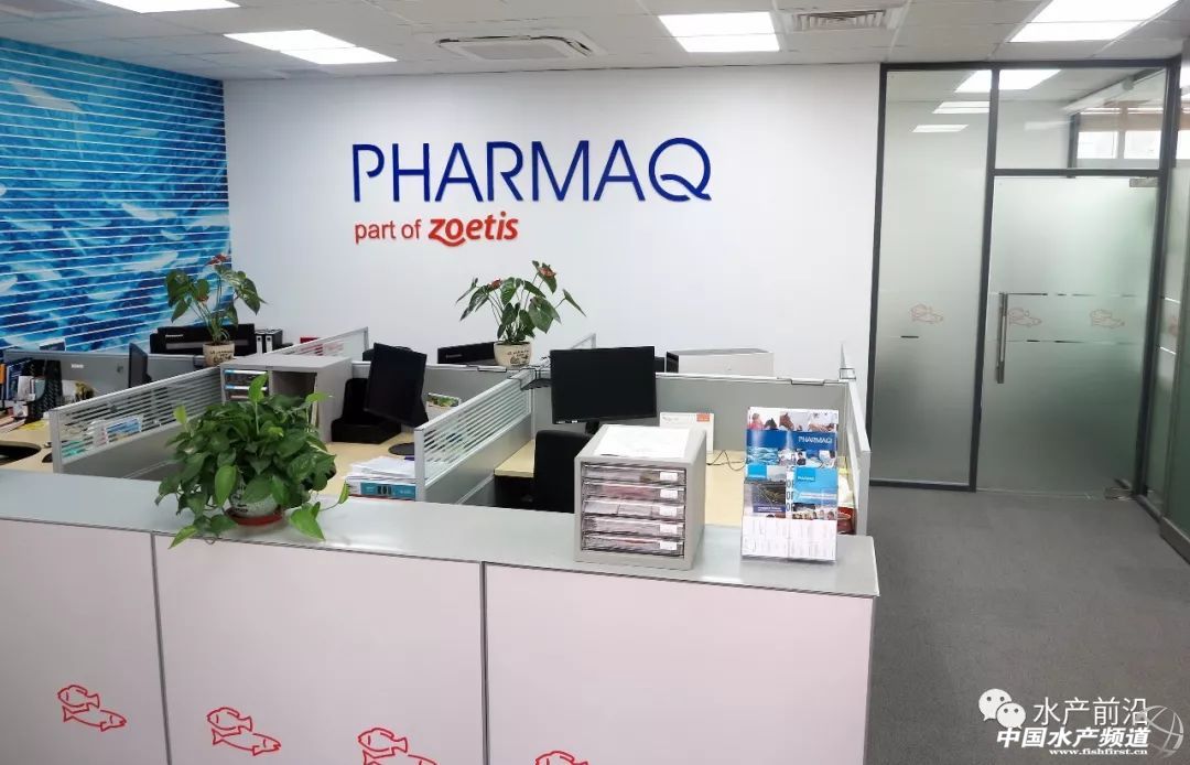 2017���u��53�|��Ԫ��ȫ���I�Ȅӱ���I�M܊�Ї�ˮ�a��ͻ���c���@��