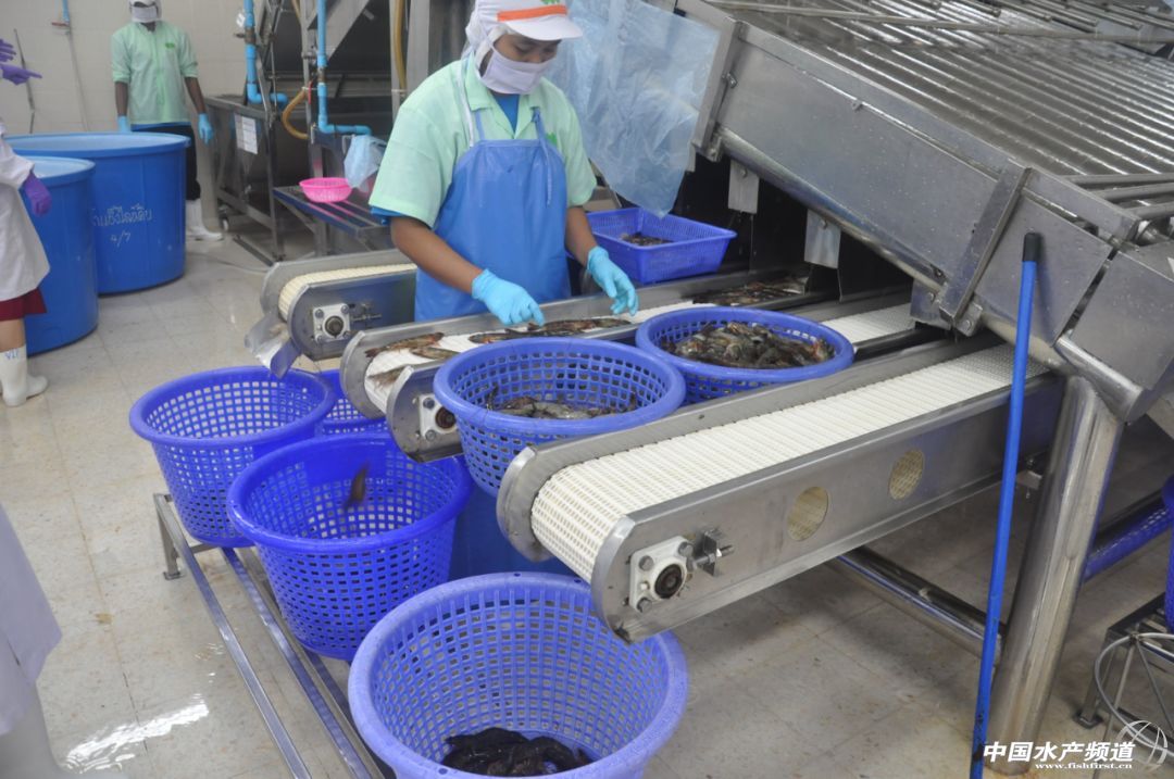 ����տ�����r�YԴ���Ї����Hˮ�a���[���|�ρ�·�������Ļ��6��18�գ���s����տ����