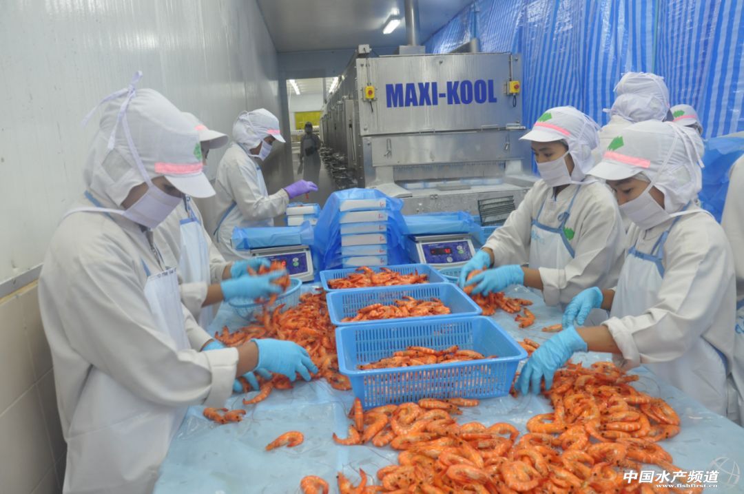 ����տ�����r�YԴ���Ї����Hˮ�a���[���|�ρ�·�������Ļ��6��18�գ���s����տ����