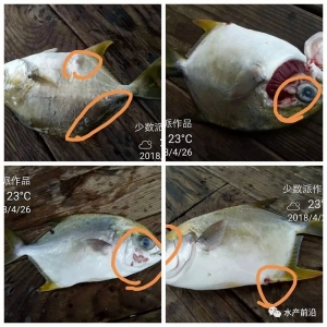 ���K�~�ݝO�ڱ��r���r��Ʒ��Ҫ�q��ͬ�r��ע�������