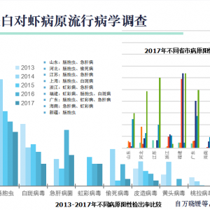 �S���������׌��r��������c�L�U���ز���