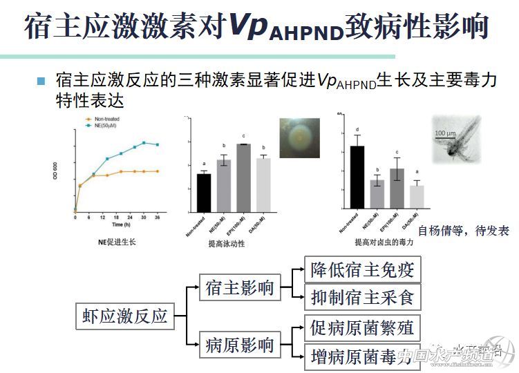 �r�硢�����������B(y��ng)ֳϵ�y(t��ng)��������˵��B(y��ng)ֳ���@Щ���}���̎����