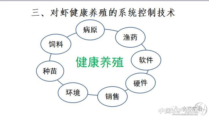 �r�硢�����������B(y��ng)ֳϵ�y(t��ng)��������˵��B(y��ng)ֳ���@Щ���}���̎����