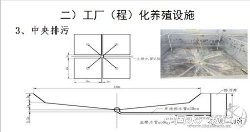 �r�硢�����������B(y��ng)ֳϵ�y(t��ng)��������˵��B(y��ng)ֳ���@Щ���}���̎����