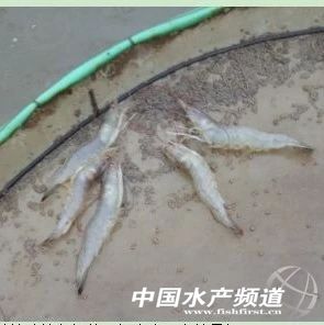 �����B�r����@�������r���u�F��2�K/��