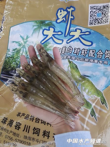 ���궬�Ͷι�@�N��ϣ��r���u�F��2�K/�ԭ����......