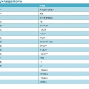 ���~�����һ���ϳ��~36���ٍ6�f��