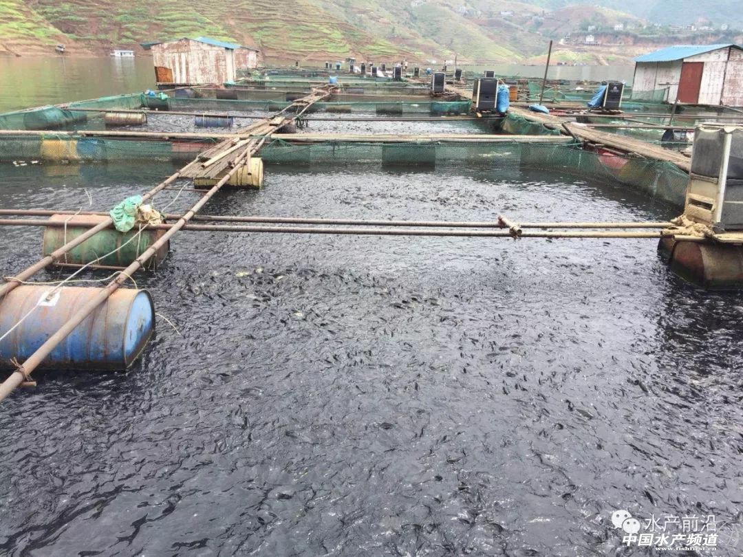 �|���~�������У��~�r15Ԫ������2.5Ԫ/��F�ݞ������齭����ˮ���W�����ȫȡ�����B���������L3���£���t���ǜ��֮��