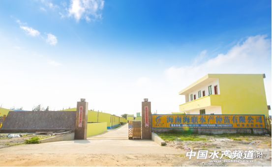 �y����Ӣ���������H4������H35�q�ƹ����N��60�|β������߀�f���Ժ��B�r��Խ��Խ���B