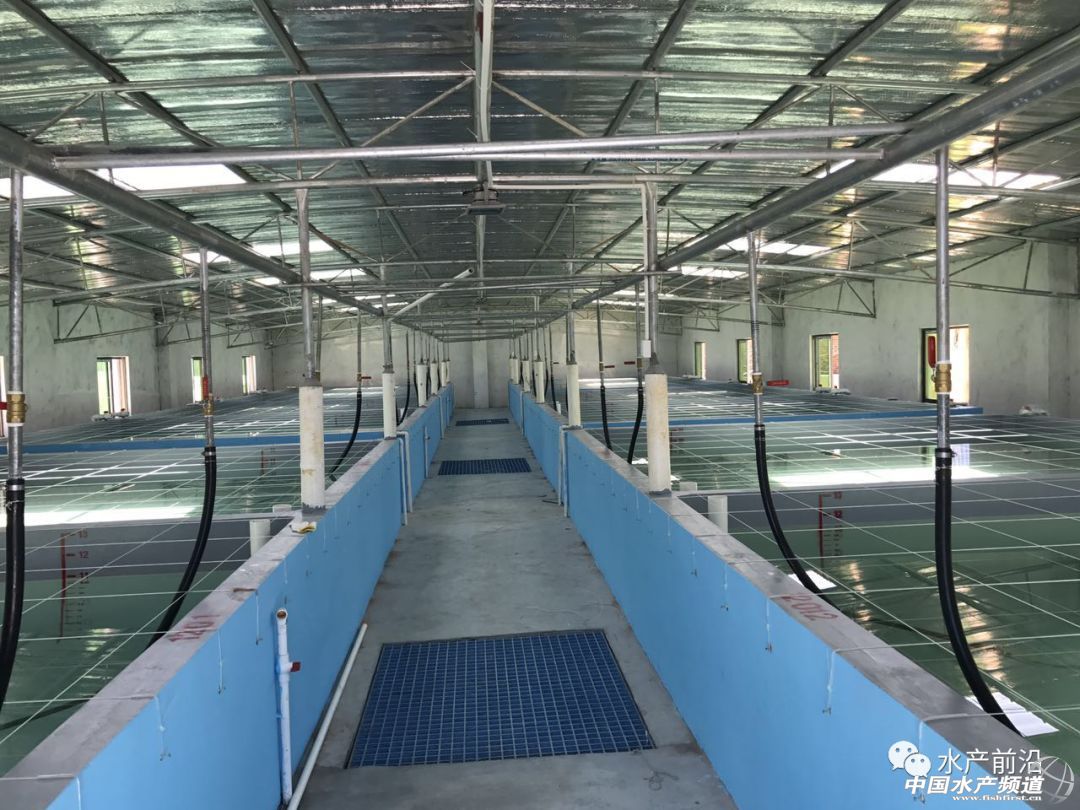 �y����Ӣ���������H4������H35�q�ƹ����N��60�|β��������߀�f���Ժ��B�r��Խ��Խ���B