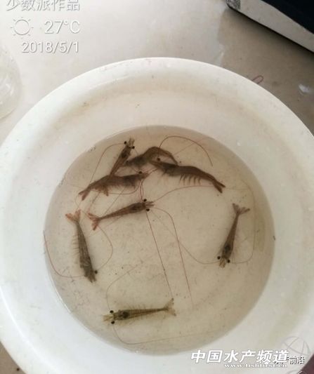 �װ߲������ھ����؁�������׌��r�Bֳ�΄ݲ��ݘ��^