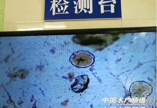 �װ߲������ھ����؁�������׌��r�Bֳ�΄ݲ��ݘ��^