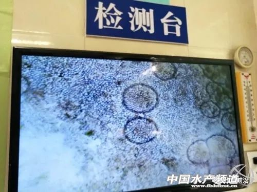 �װ߲������ھ����؁�������׌��r�Bֳ�΄ݲ��ݘ��^