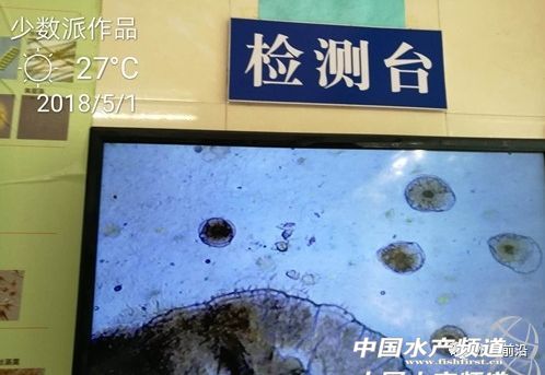 �װ߲������ھ����؁�������׌��r�Bֳ�΄ݲ��ݘ��^