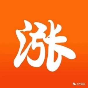 ����������ʡ�����|�q0.5Ԫ�����15.5Ԫ/�