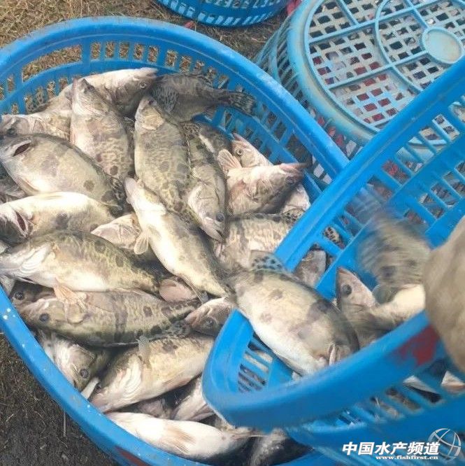 ��ʡ�Z�~�r���»����V�|�Z�~�ٵ�2Ԫ/�