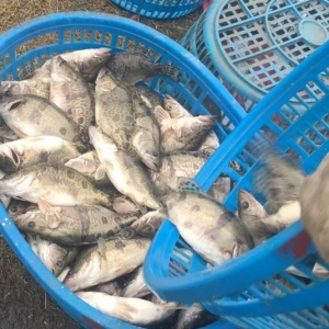 ��ʡ�Z�~�r���»����V�|�Z�~�ٵ�2Ԫ/�