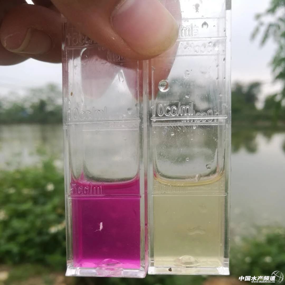 ��ʲôҪ��ҕ�������}�Ķ��Ժ�Σ����