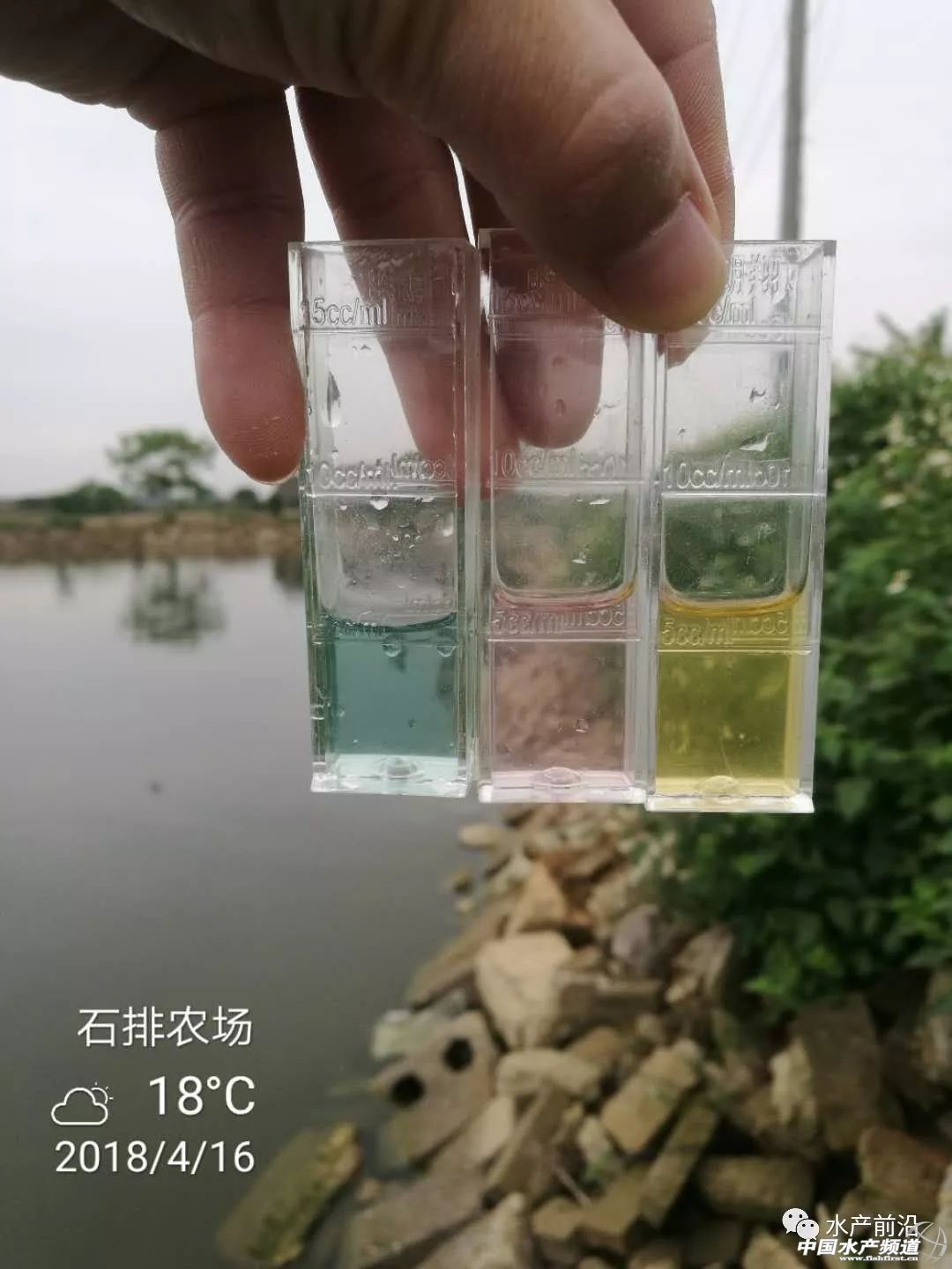 ������؛���������}�ߣ����׷���������鲻֪���@Щԭ��