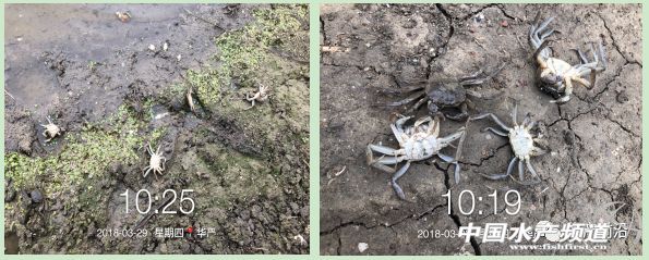 �ֵ��l���߷��ڣ���зһ�����ڴ���������������֪��ԭ��