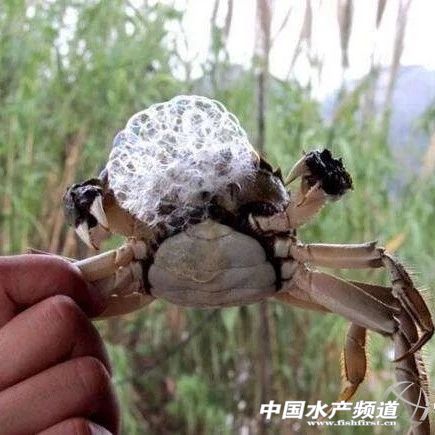 ��зһ����ɻ��ʵͣ�������֪��ԭ��