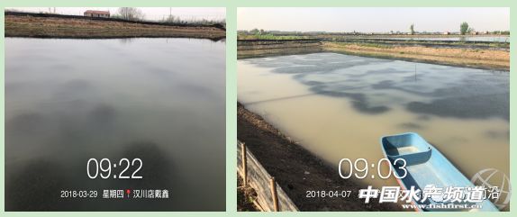 �ֵ��l���߷��ڣ���зһ�����ڴ���������������֪��ԭ��