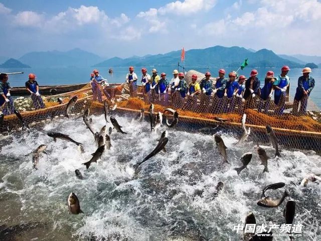 ͬ���M���ݝO�ڣ�5���𲻹��Ǻ�����O��ǧ�u��ȫ���ڃȵ��@Щ��������Ҳ���ܲ���