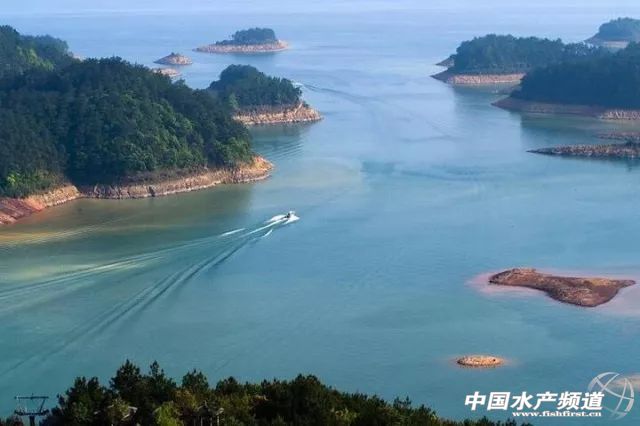 ͬ���M���ݝO�ڣ�5���𲻹��Ǻ�����O��ǧ�u��ȫ���ڃȵ��@Щ��������Ҳ���ܲ���