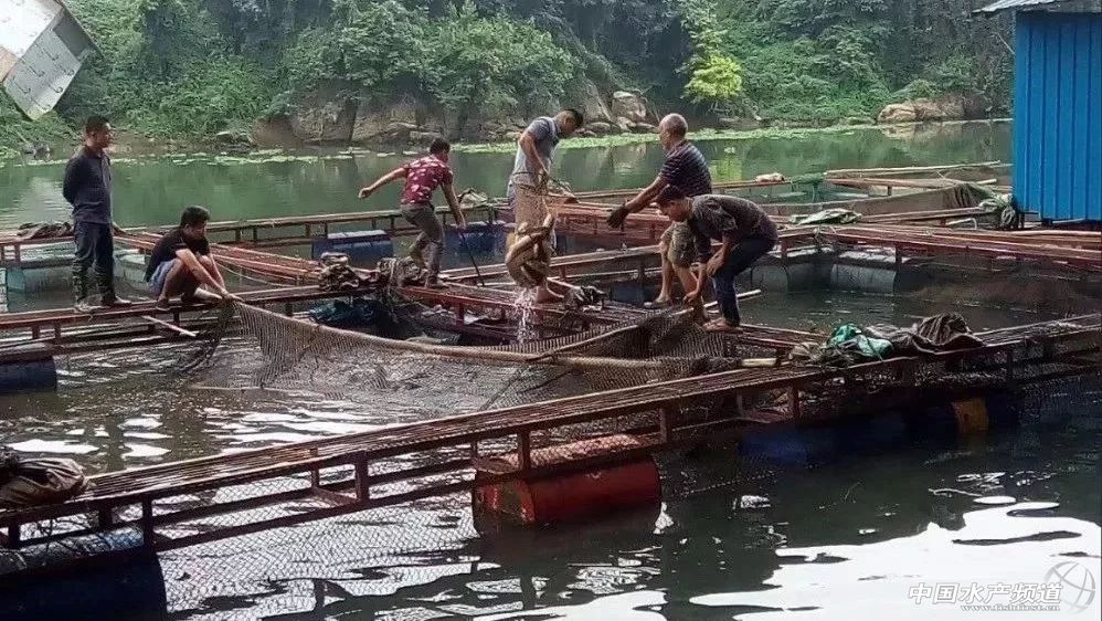 �F�ݡ��V����ش�Ҏģ���W�䣬��ǧ�f���~�o������