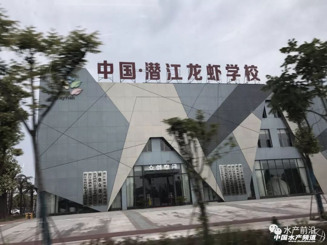 �����桱�������M(j��n)�������������߮a(ch��n)���@�����t���a(ch��n)�I(y��)��(d��ng)��t�t���