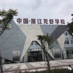 �����桱�������M�������������߮a���@�����t���a�I����t�t���