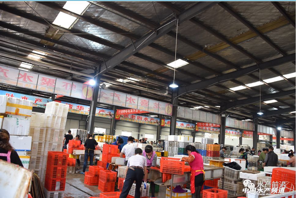 �����桱�������M(j��n)�������������߮a(ch��n)���@�����t���a(ch��n)�I(y��)��(d��ng)��t�t���