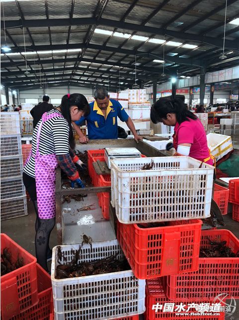 �����桱�������M(j��n)�������������߮a(ch��n)���@�����t���a(ch��n)�I(y��)��(d��ng)��t�t���