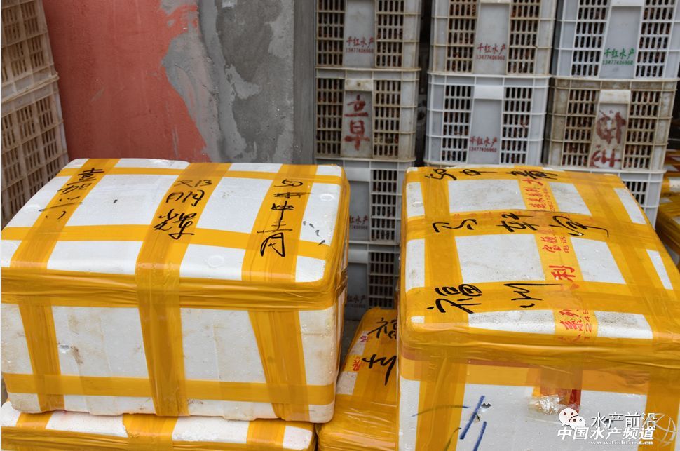 �����桱�������M(j��n)�������������߮a(ch��n)���@�����t���a(ch��n)�I(y��)��(d��ng)��t�t���