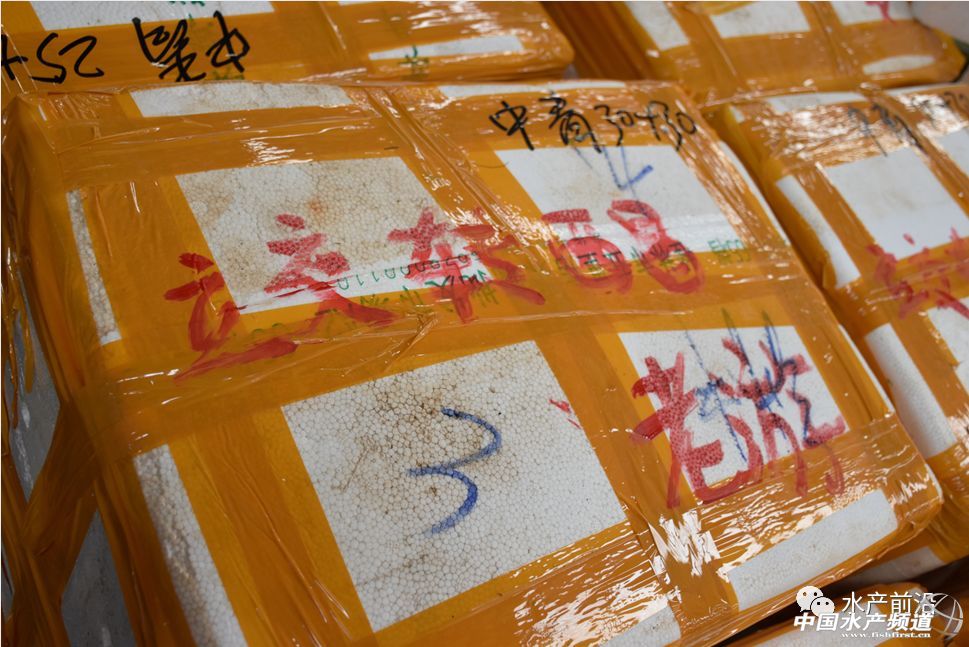 �����桱�������M(j��n)�������������߮a(ch��n)���@�����t���a(ch��n)�I(y��)��(d��ng)��t�t���