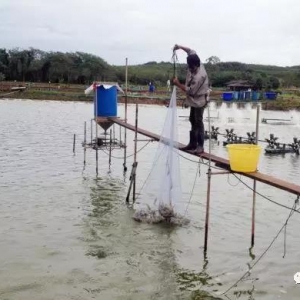 ̩�����󽵵��r�硢��σr�񣬎���̩���r�r���^���r�rΣ�C��