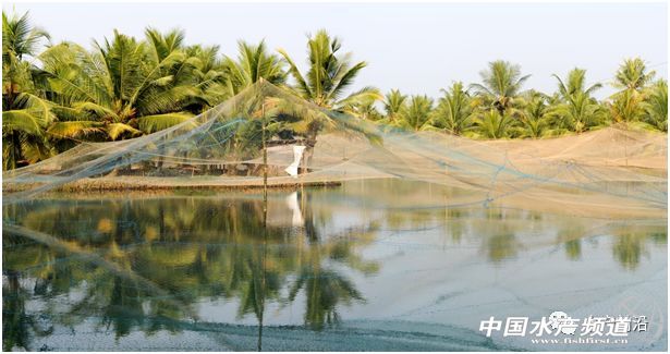 ������ȫ���r�r�ӽ��vʷ��λ���Ї����y��һ�١������װl����ʲô��