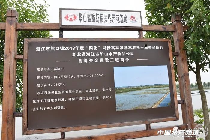 С���rȫ���ǌ����r��Ҳ�����߸���ֵ�aƷ���r��߀���e