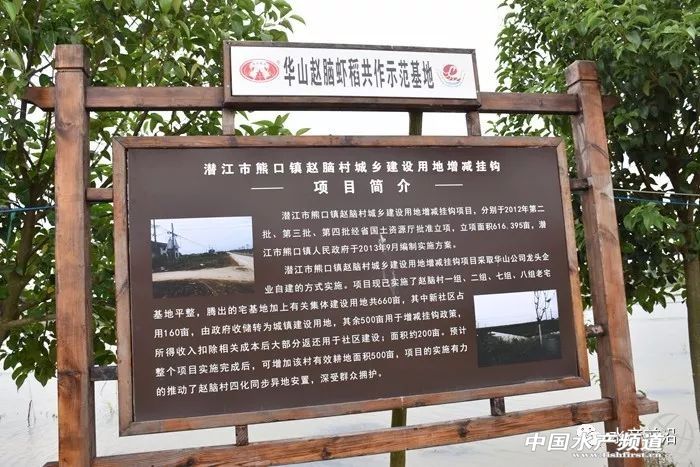 С���rȫ���ǌ����r��Ҳ�����߸���ֵ�aƷ���r��߀���e