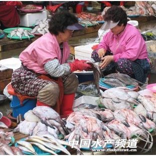 ˮ�aƷ��ȫ�����ʳ�ﵰ���|�ĵ������Դ