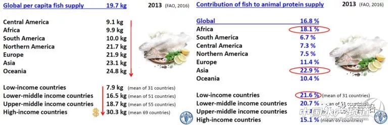 �����ˮ�a(ch��n)�ИI(y��)��ˮ�a(ch��n)Ʒ��ȫ�����ʳ�ﵰ���|(zh��)�ĵ������Դ