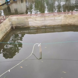 ���ģ��ش����؄������B�r�I��������ȫ���͛]��