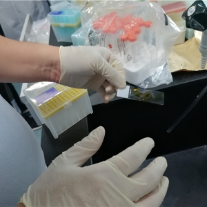 �p���������ʮ��ˮ�a�����z�y���g��Ӗ���ɹ��e�k