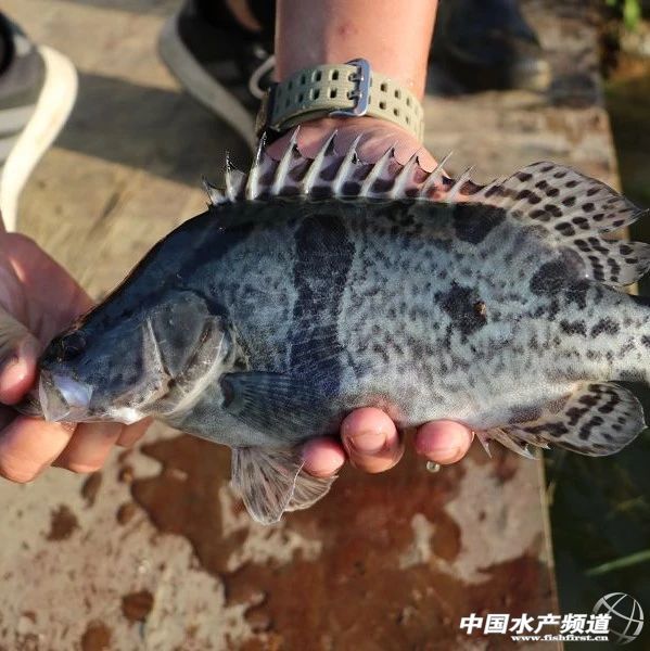 �@�ˣ�С����Z�~�r���30%���Z�~���25%��